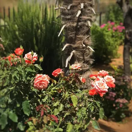 Beautiful In Crete Near The Sea - 200sqm Gazi