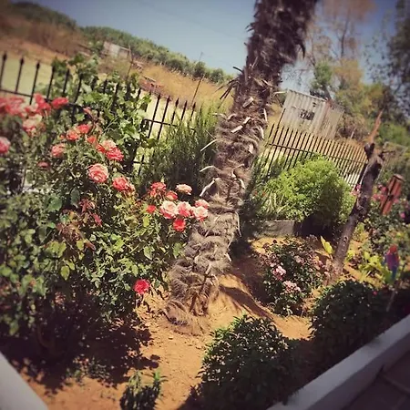 Beautiful In Crete Near The Sea - 200sqm