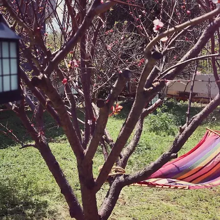 Beautiful In Crete Near The Sea - 200sqm בית נופש