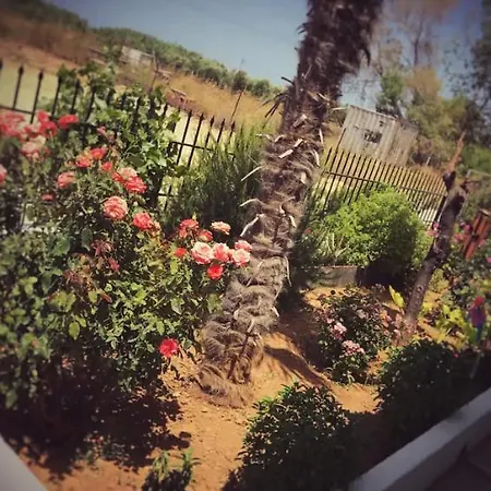 בית נופש Beautiful In Crete Near The Sea - 200sqm Gazi