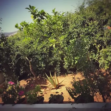 Beautiful In Crete Near The Sea - 200sqm *