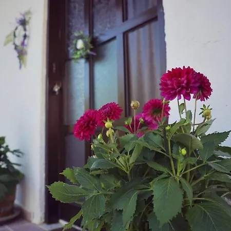בית נופש Beautiful In Crete Near The Sea - 200sqm *