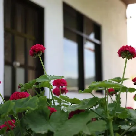 Beautiful In Crete Near The Sea - 200sqm בית נופש Gazi